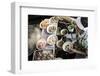 Taling Chan Floating Market, Bangkok, Thailand, Southeast Asia, Asia-Andrew Taylor-Framed Photographic Print