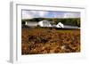 Talisker Distillery, Isle of Skye, Highland, Scotland-Peter Thompson-Framed Photographic Print