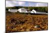 Talisker Distillery, Isle of Skye, Highland, Scotland-Peter Thompson-Mounted Photographic Print