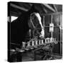 "Talking" Horse Named Lady Wonder Who Uses a Giant "Typewriter" to Give Simple Answers-null-Stretched Canvas