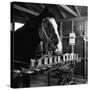 "Talking" Horse Named Lady Wonder Who Uses a Giant "Typewriter" to Give Simple Answers-null-Stretched Canvas