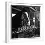 "Talking" Horse Named Lady Wonder Who Uses a Giant "Typewriter" to Give Simple Answers-null-Framed Photographic Print