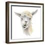 Talking Llama-Lanie Loreth-Framed Art Print