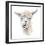 Talking Llama-Lanie Loreth-Framed Art Print