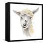 Talking Llama-Lanie Loreth-Framed Stretched Canvas