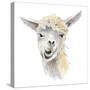 Talking Llama-Lanie Loreth-Stretched Canvas