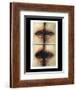 Talking Mouths, 1997-Evelyn Williams-Framed Giclee Print