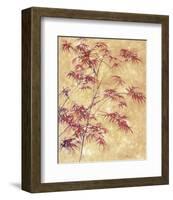 Talking to a Maple Tree-Todd Telander-Framed Art Print