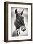 Talking to Me-Ben Heine-Framed Photographic Print