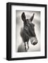 Talking to Me-Ben Heine-Framed Photographic Print