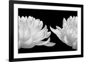 Talking Zen, 2006 (Piezography b/w photo)-null-Framed Photographic Print