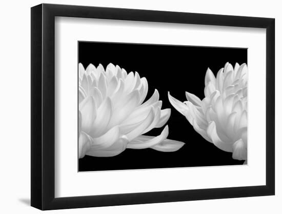 Talking Zen, 2006 (Piezography b/w photo)-null-Framed Photographic Print