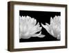 Talking Zen, 2006-Hiroyuki Arakawa-Framed Photographic Print