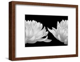 Talking Zen, 2006-Hiroyuki Arakawa-Framed Photographic Print