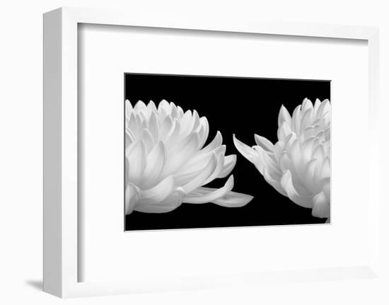 Talking Zen, 2006-Hiroyuki Arakawa-Framed Photographic Print