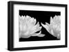 Talking Zen, 2006-Hiroyuki Arakawa-Framed Photographic Print