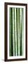 Tall Bamboo-Herb Dickinson-Framed Photographic Print