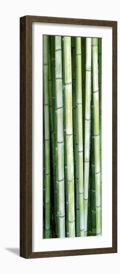 Tall Bamboo-Herb Dickinson-Framed Photographic Print