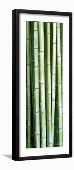 Tall Bamboo-Herb Dickinson-Framed Photographic Print