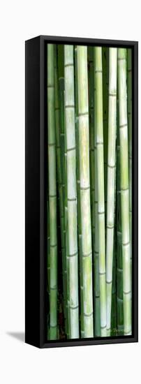 Tall Bamboo-Herb Dickinson-Framed Stretched Canvas