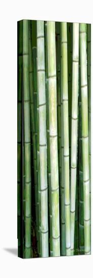 Tall Bamboo-Herb Dickinson-Stretched Canvas