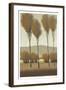 Tall Birches I-Tim O'toole-Framed Art Print