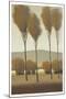 Tall Birches I-Tim O'toole-Mounted Art Print