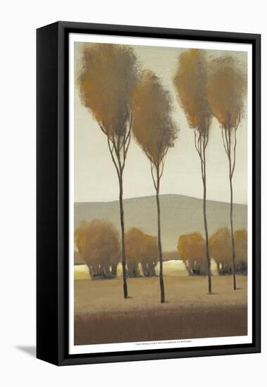 Tall Birches I-Tim O'toole-Framed Stretched Canvas