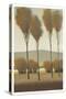 Tall Birches I-Tim O'toole-Stretched Canvas