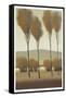 Tall Birches I-Tim O'toole-Framed Stretched Canvas