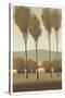 Tall Birches I-Tim O'toole-Stretched Canvas