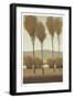 Tall Birches I-Tim O'toole-Framed Art Print