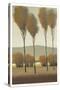 Tall Birches I-Tim O'toole-Stretched Canvas