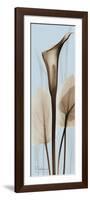 Tall Brown Calla Lily-Albert Koetsier-Framed Art Print