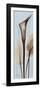 Tall Brown Calla Lily-Albert Koetsier-Framed Art Print