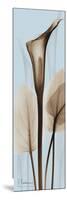 Tall Brown Calla Lily-Albert Koetsier-Mounted Art Print