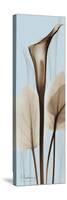 Tall Brown Calla Lily-Albert Koetsier-Stretched Canvas
