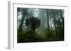 Tall Cool Mist-Vincent James-Framed Photographic Print