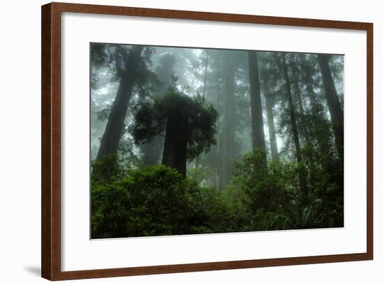 Tall Cool Mist-Vincent James-Framed Photographic Print