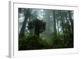 Tall Cool Mist-Vincent James-Framed Photographic Print