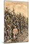 Tall Corn, Pine Plains, New York-null-Mounted Art Print