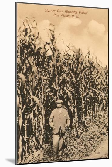 Tall Corn, Pine Plains, New York-null-Mounted Art Print