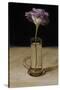 Tall Eustoma-James Gillick-Stretched Canvas