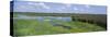 Tall Grass in a Lake, Finger Lakes, Montezuma National Wildlife Refuge, New York State, USA-null-Stretched Canvas