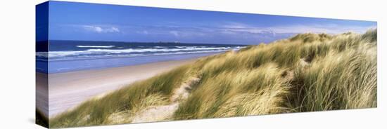 Tall Grass on the Beach, Bamburgh, Northumberland, England-null-Stretched Canvas