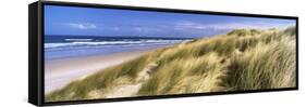 Tall Grass on the Beach, Bamburgh, Northumberland, England-null-Framed Stretched Canvas