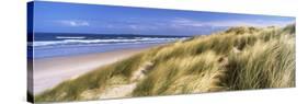 Tall Grass on the Beach, Bamburgh, Northumberland, England-null-Stretched Canvas