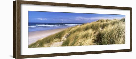 Tall Grass on the Beach, Bamburgh, Northumberland, England-null-Framed Photographic Print