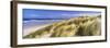 Tall Grass on the Beach, Bamburgh, Northumberland, England-null-Framed Photographic Print