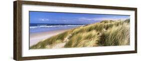 Tall Grass on the Beach, Bamburgh, Northumberland, England-null-Framed Photographic Print